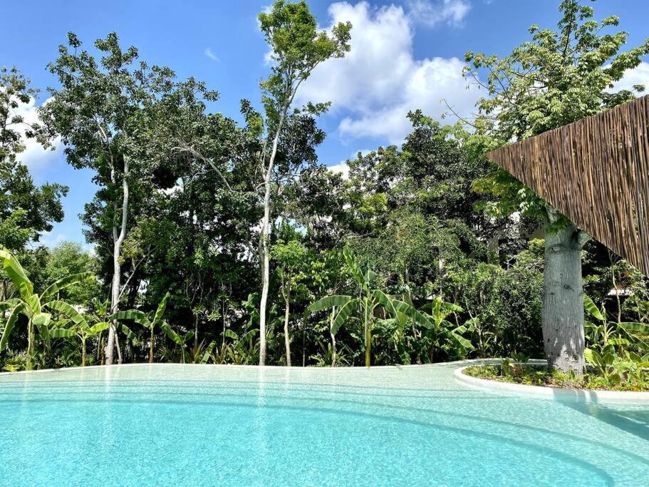 Exclusive Studio In A Gated Community By Casa Paraiso 툴룸 외부 사진